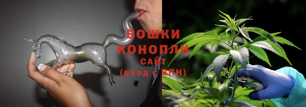 шишки Богородицк